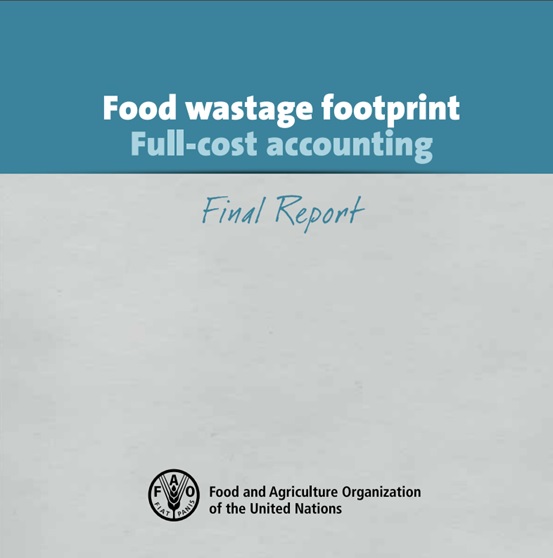 Food Wastage Footprint: Full cost-accounting - Final report
